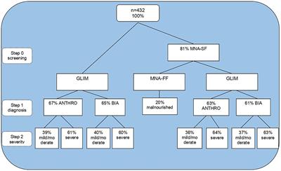 The ability of GLIM and MNA-FF to diagnose malnutrition and predict sarcopenia and frailty in hospitalized adults over 60 years of age